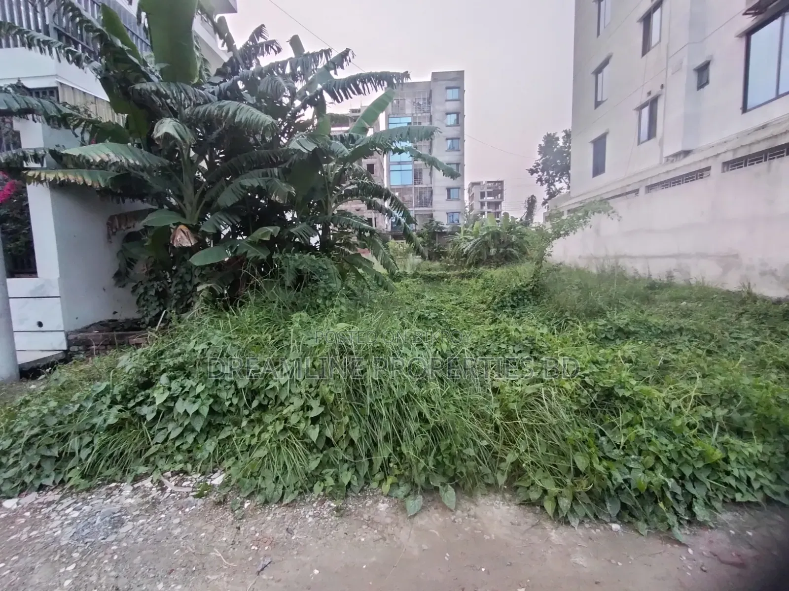 G-Block 4 Katha South Facing Plot for Sale in Bashundhara R/A