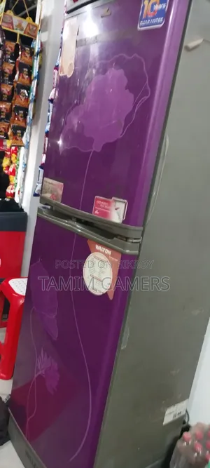 ইলেকট্রনিক ফ্রিজ