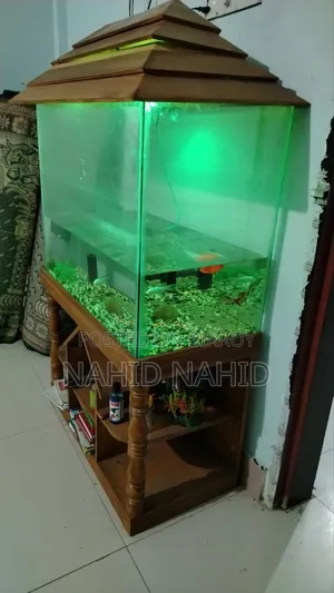 Large Aquarium, 200-liter water capacity.