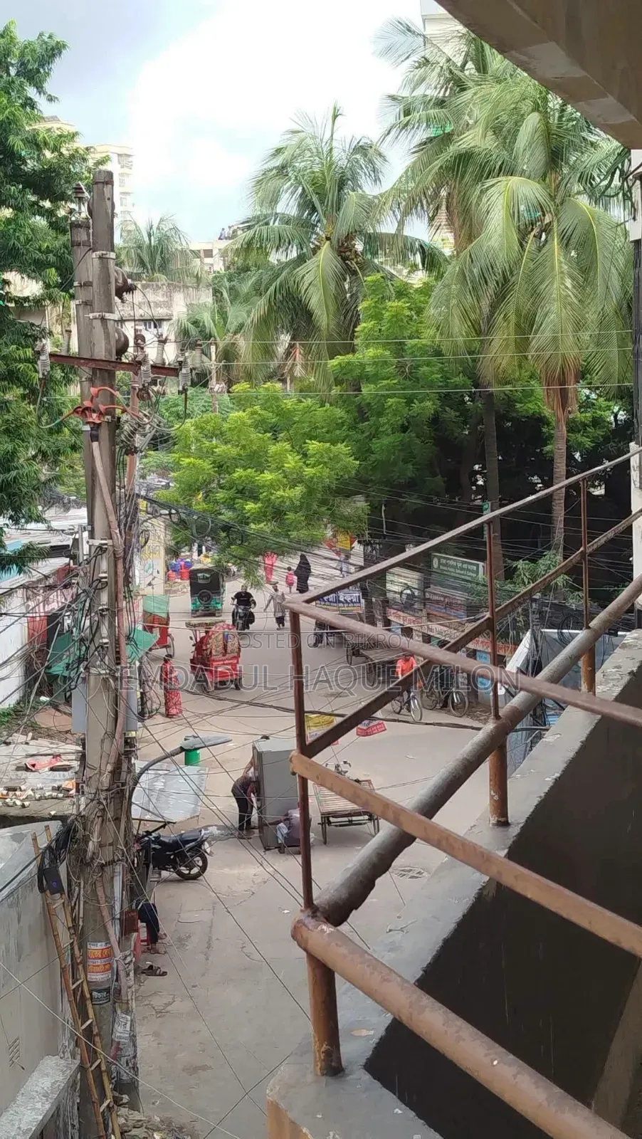 সিট ভাড়া ধানমন্ডি ১৫ স্টাফ কোয়ার্টার মোড়