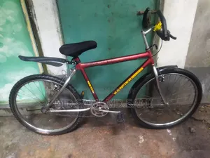 The bicycle will be sold.