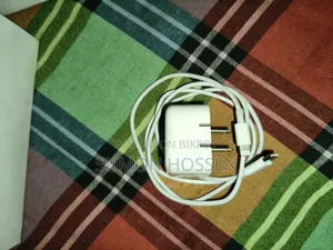 Apple Orginal Charger