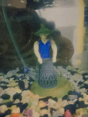 Aquarium Fish Tank With Oxygen Pump and Fish