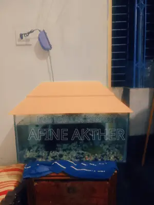 Aquarium Fish Tank With Oxygen Pump and Fish