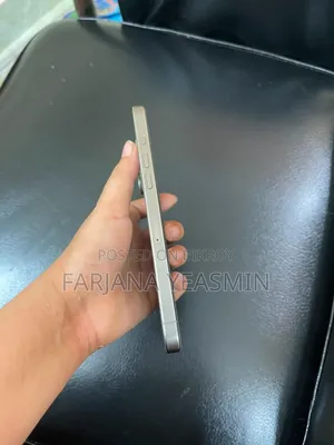 Apple iPhone 15 Pro Max 256 GB Silver