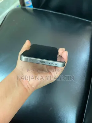 Apple iPhone 15 Pro Max 256 GB Silver