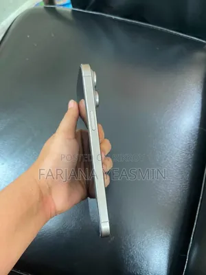 Apple iPhone 15 Pro Max 256 GB Silver