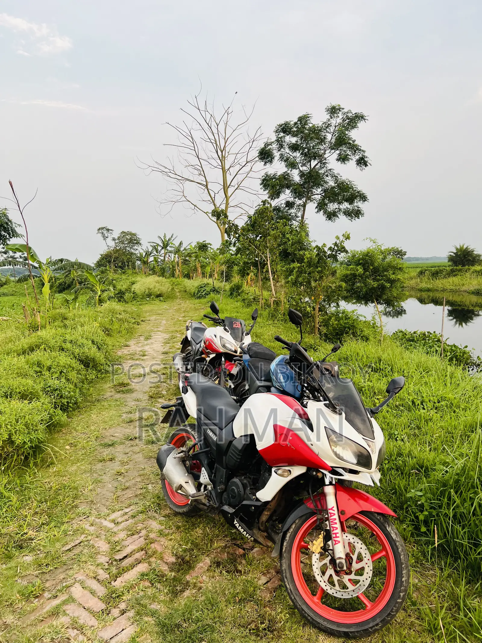 Yamaha YZF-R 2011 Red