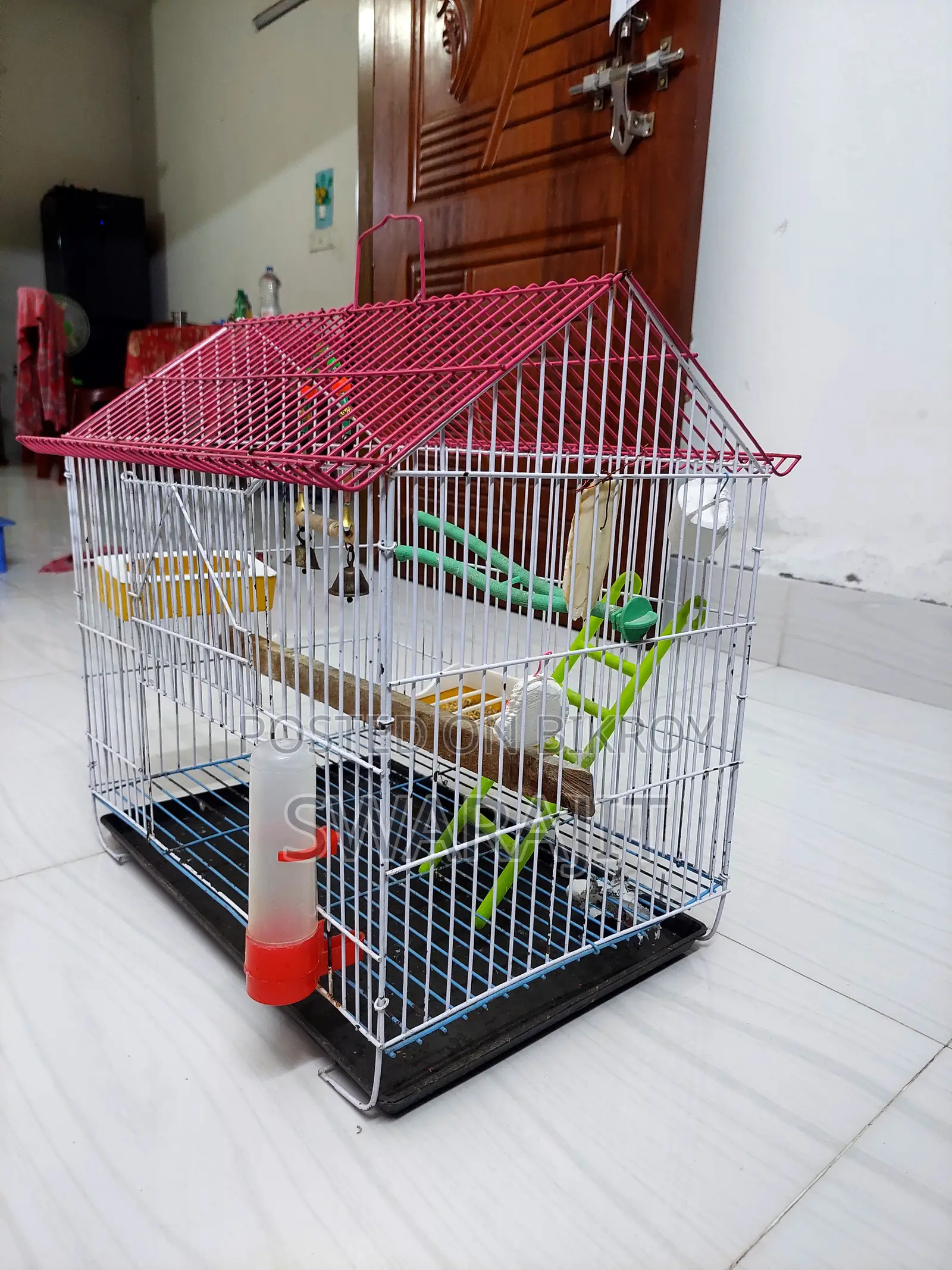 Bird Case 12"12"18"