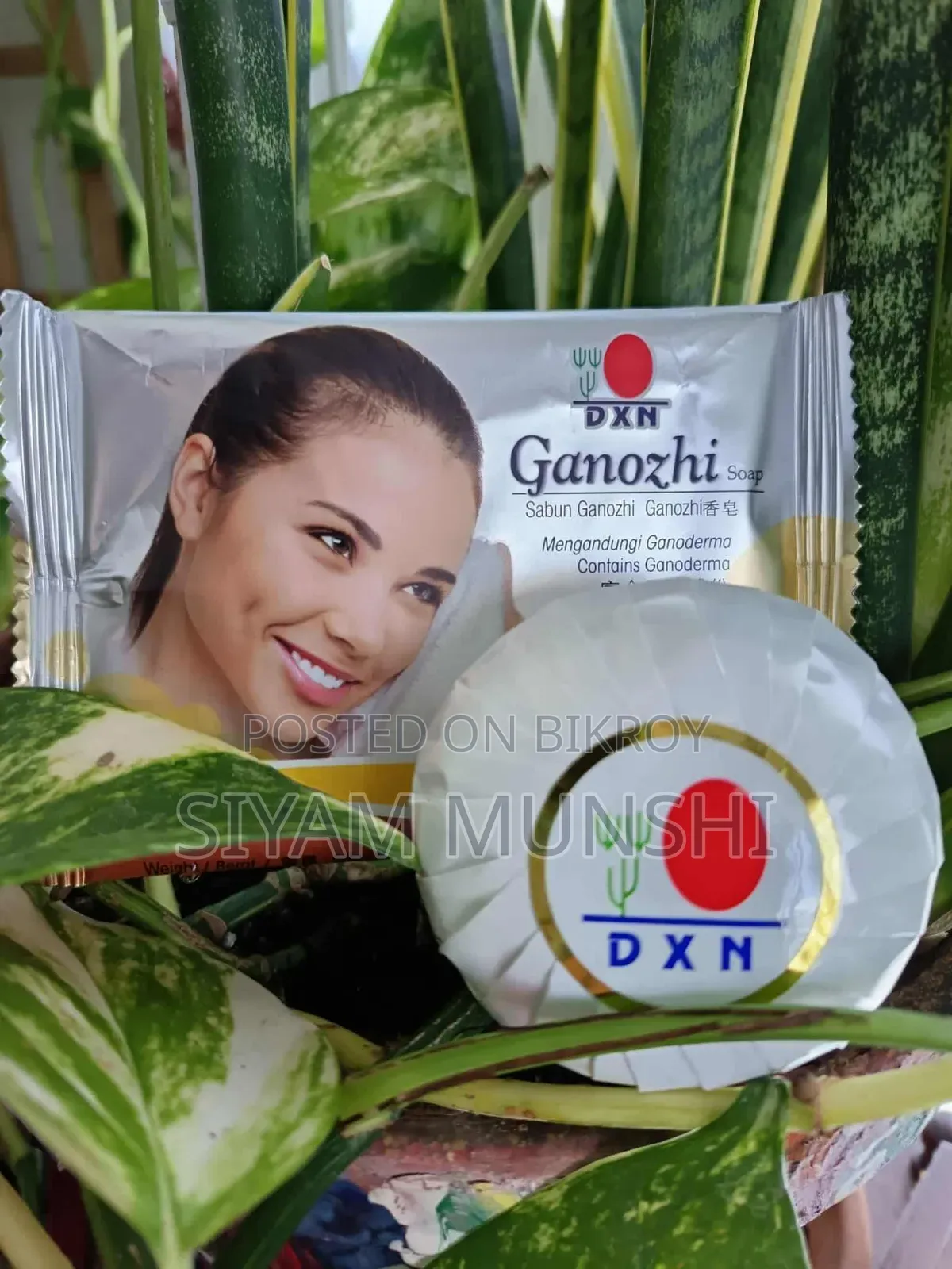 DXN Ganozhi Soap – প্রাকৃতিক স্কিন কেয়ার সাবান