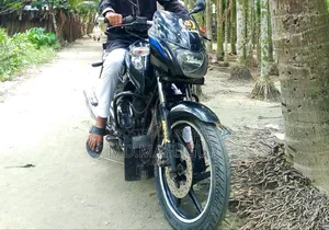 Bajaj Pulsar 150 2017 Black