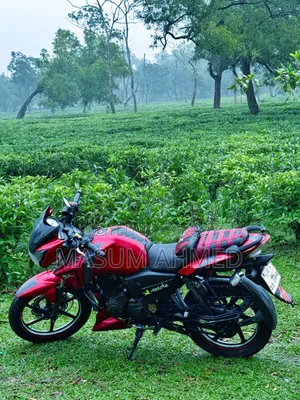 TVS Apache RTR 160 2V 2016 Red
