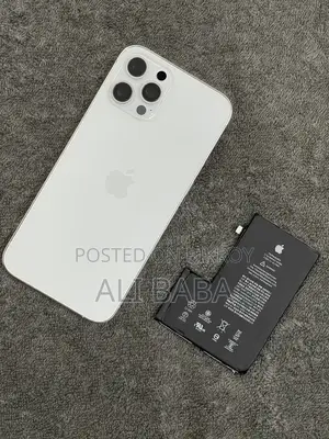 iPhone 12 Pro Max Body Parts