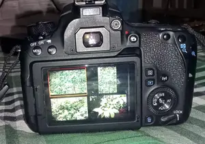 DSLR Camera Eos 77d