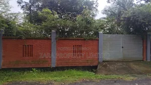 Corner 3 katha plot in Sector 15.