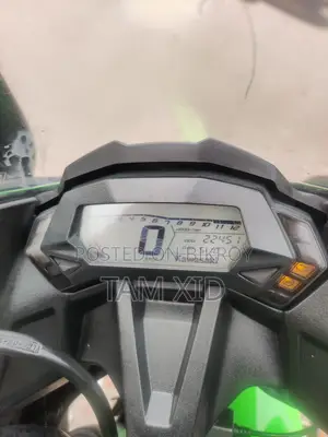 Kawasaki Bike 2018 Green
