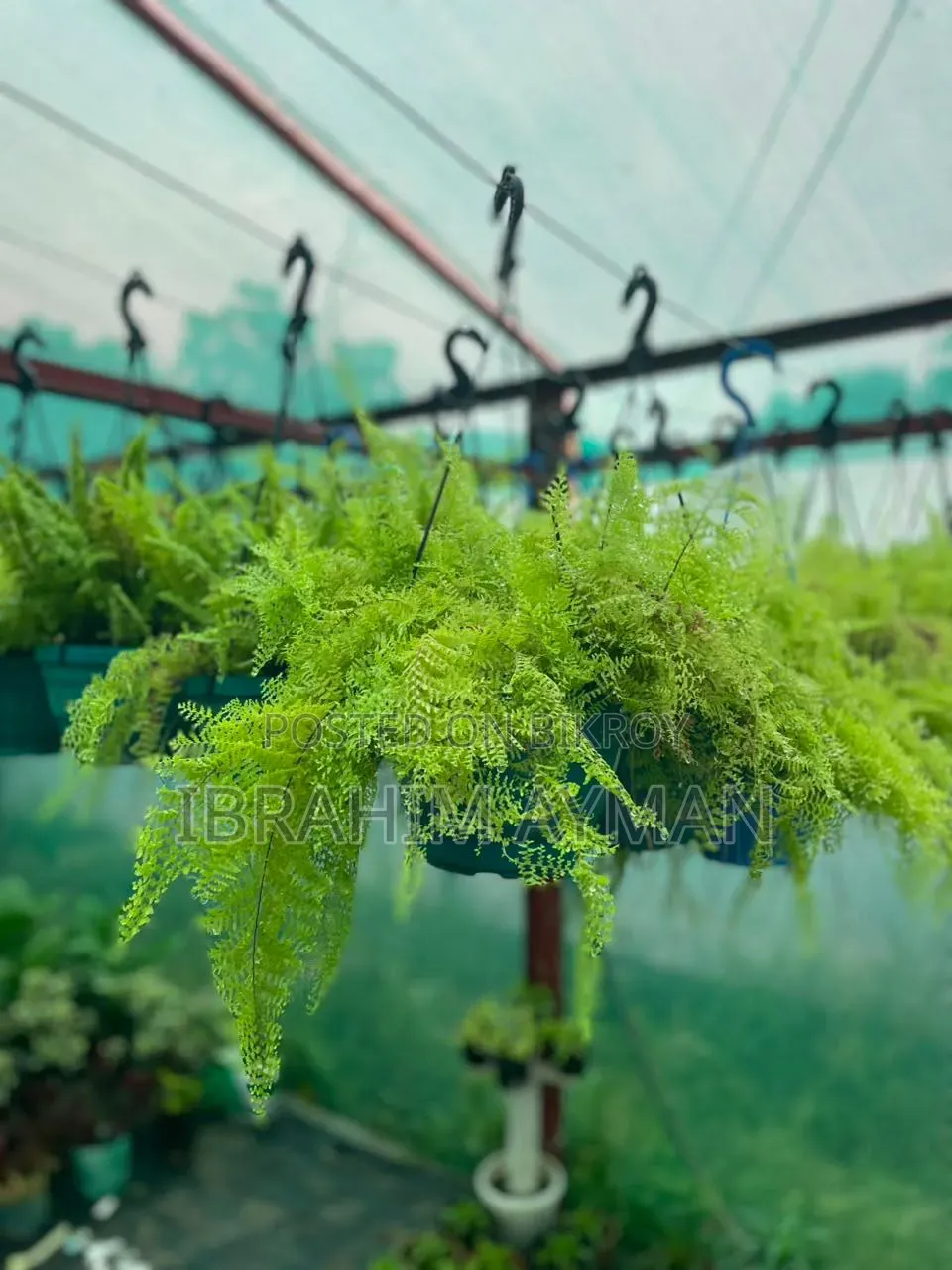 Apple iPhone 12 Pro 256 GB Gold