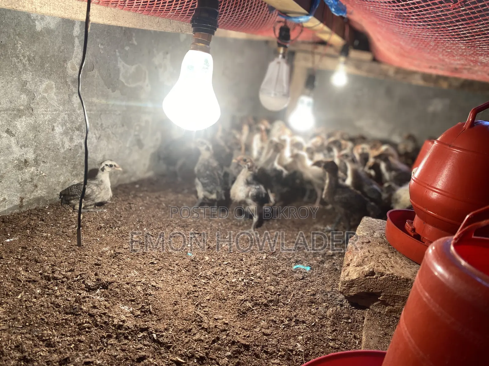 Original Fawmi Chicken