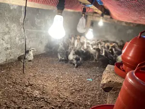 Original Fawmi Chicken