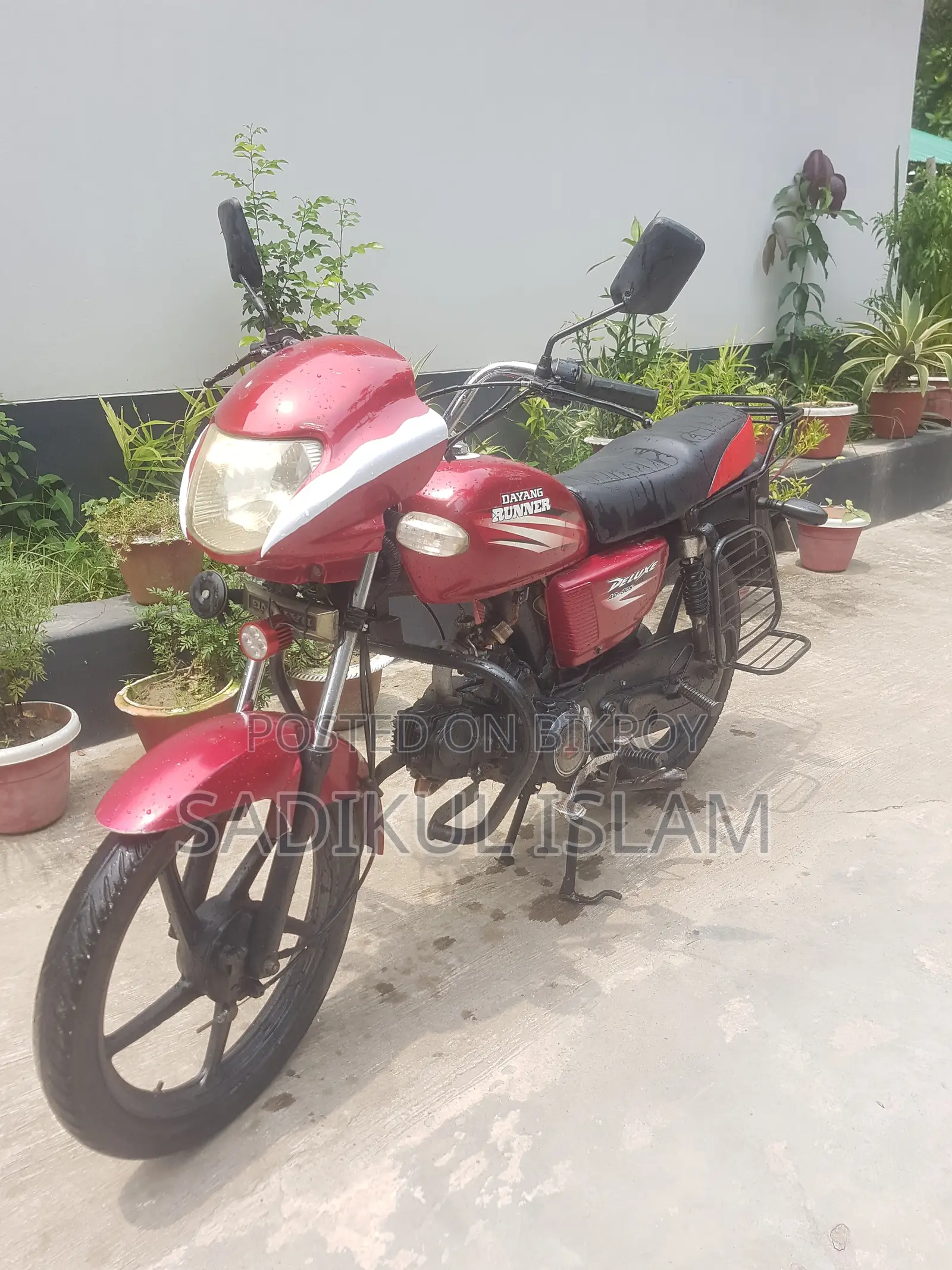 Runner AD80S-DELUXE 2014 Red