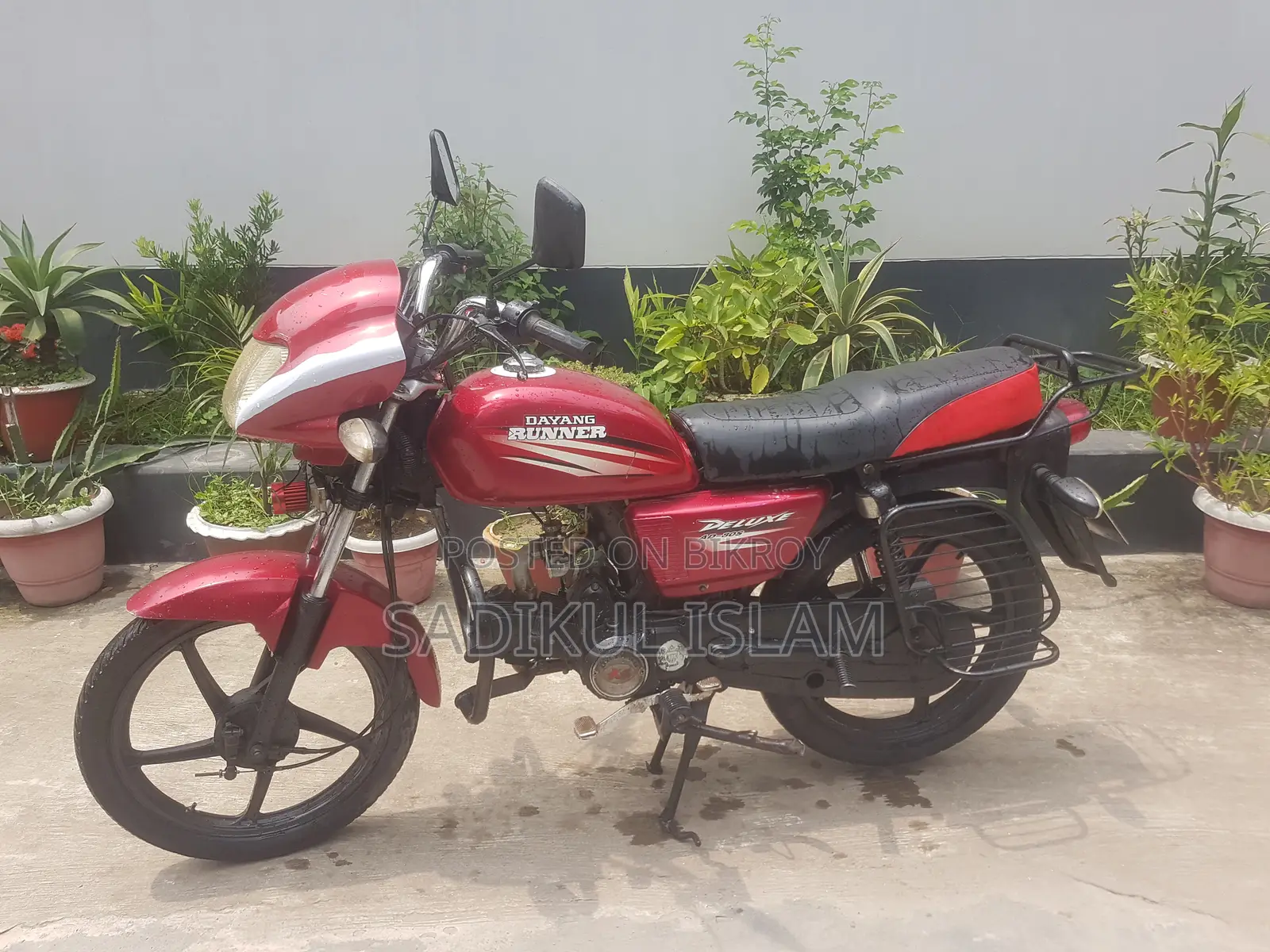 Runner AD80S-DELUXE 2014 Red