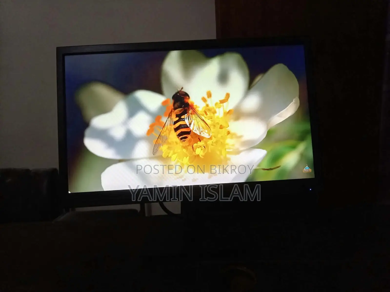 Full Monitor Fresh