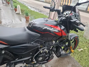 Bajaj Pulsar 150 2024 Black