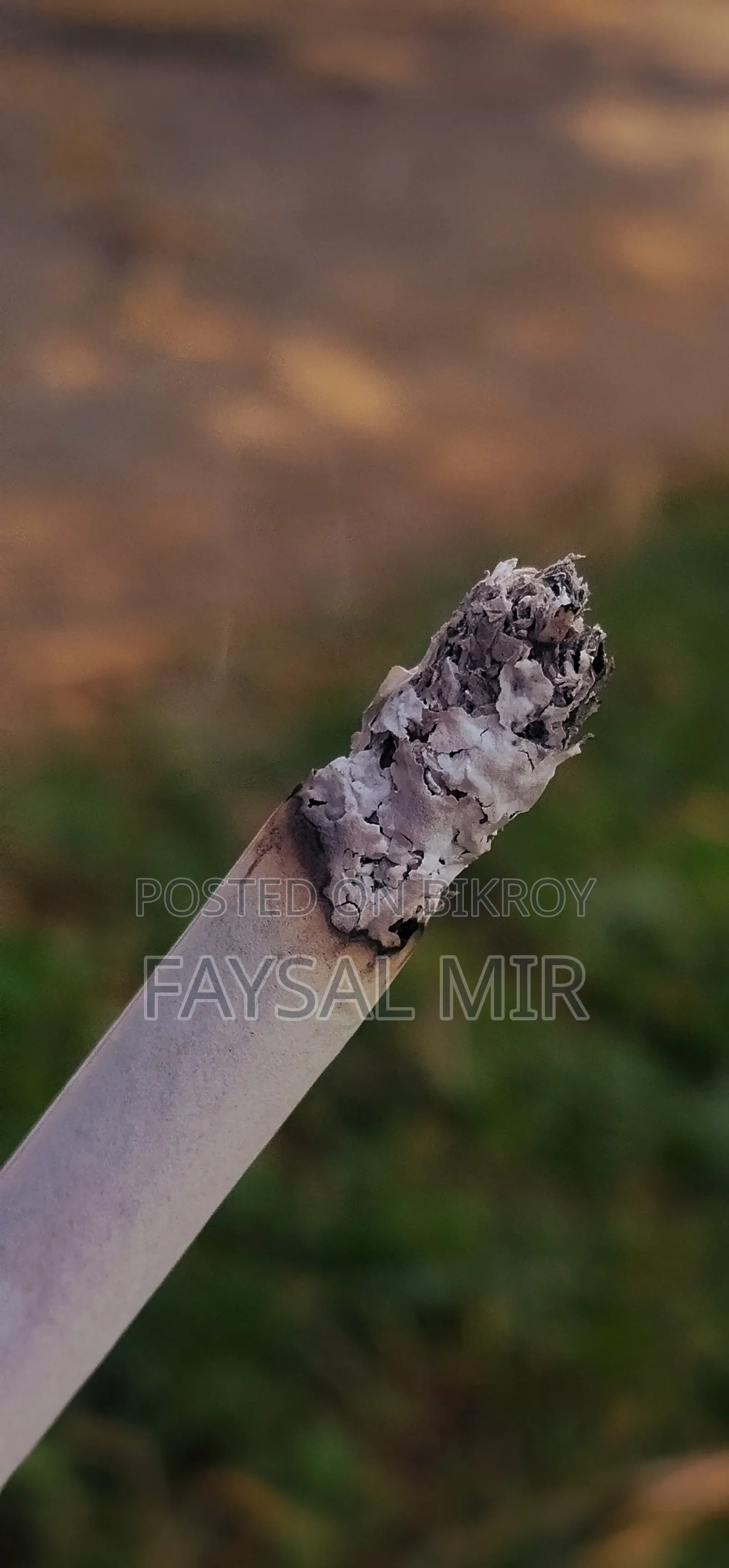 শাওমি পোকো এম২ ৬৪ জিবি ব্লু
