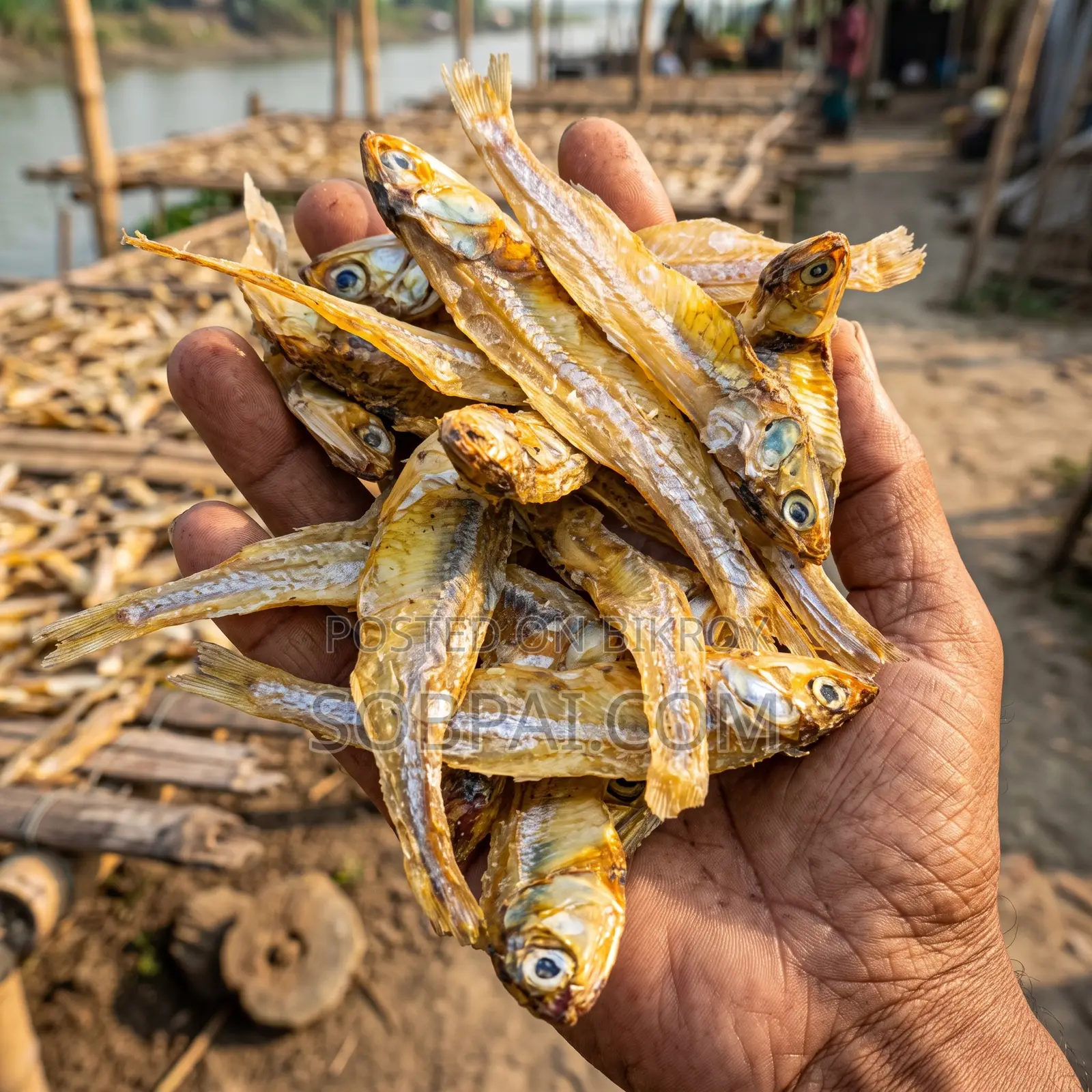 100% Organic Safe Mola Shutki - 1 Kg