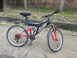 Duranta Gear Bicycle