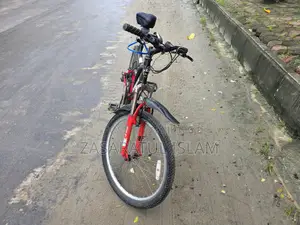 Duranta Gear Bicycle