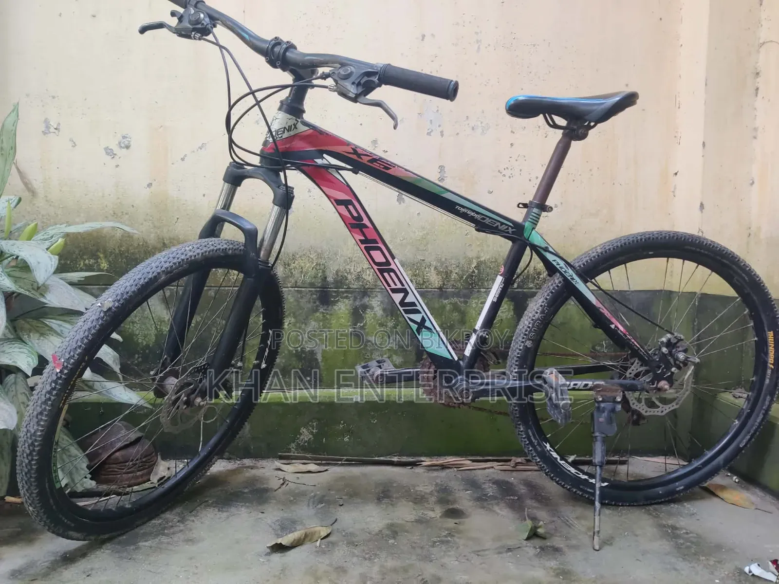 ফিনিক্স সাইকেল