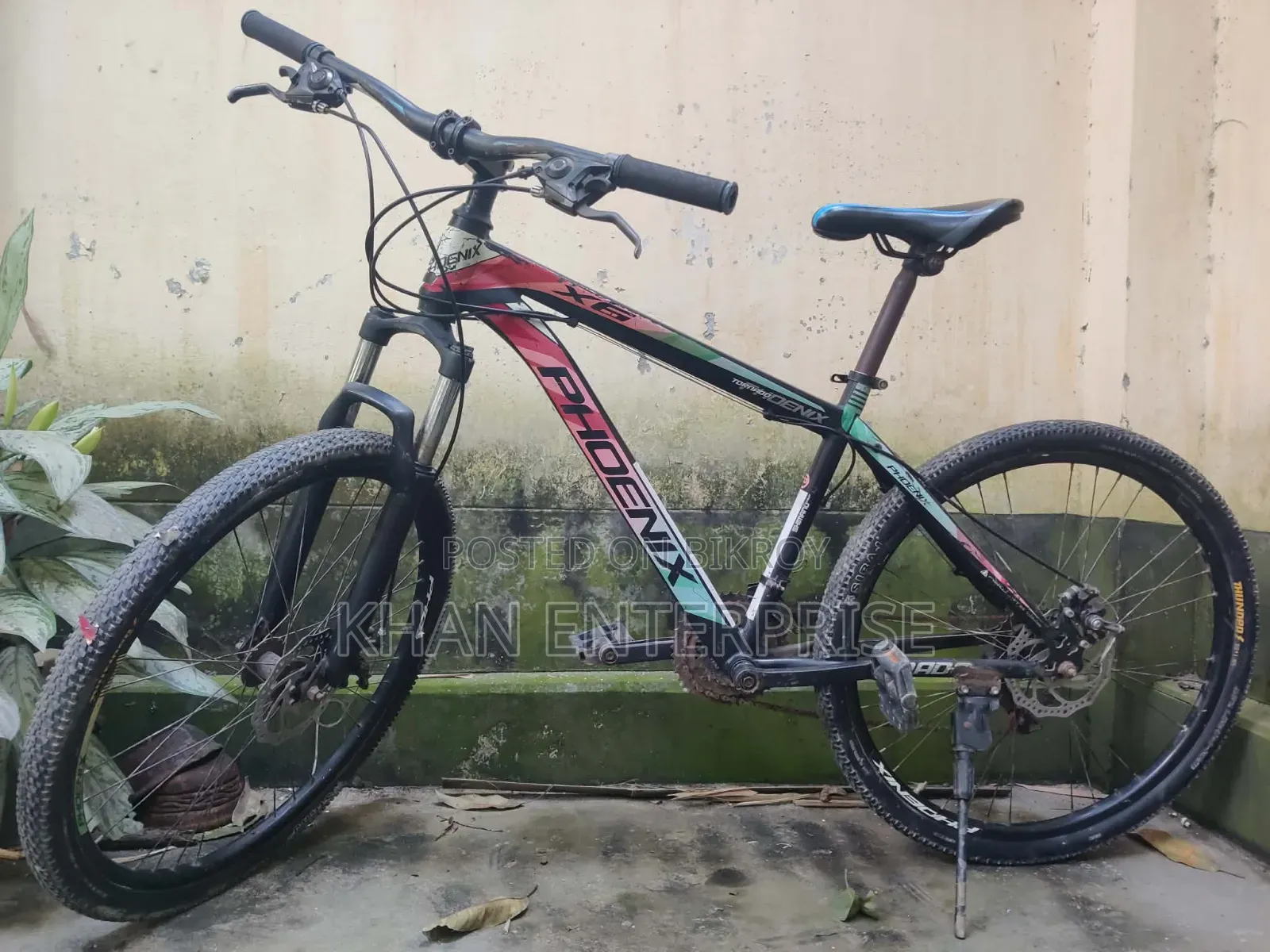 ফিনিক্স সাইকেল
