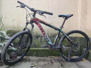 ফিনিক্স সাইকেল