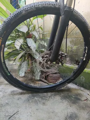 ফিনিক্স সাইকেল