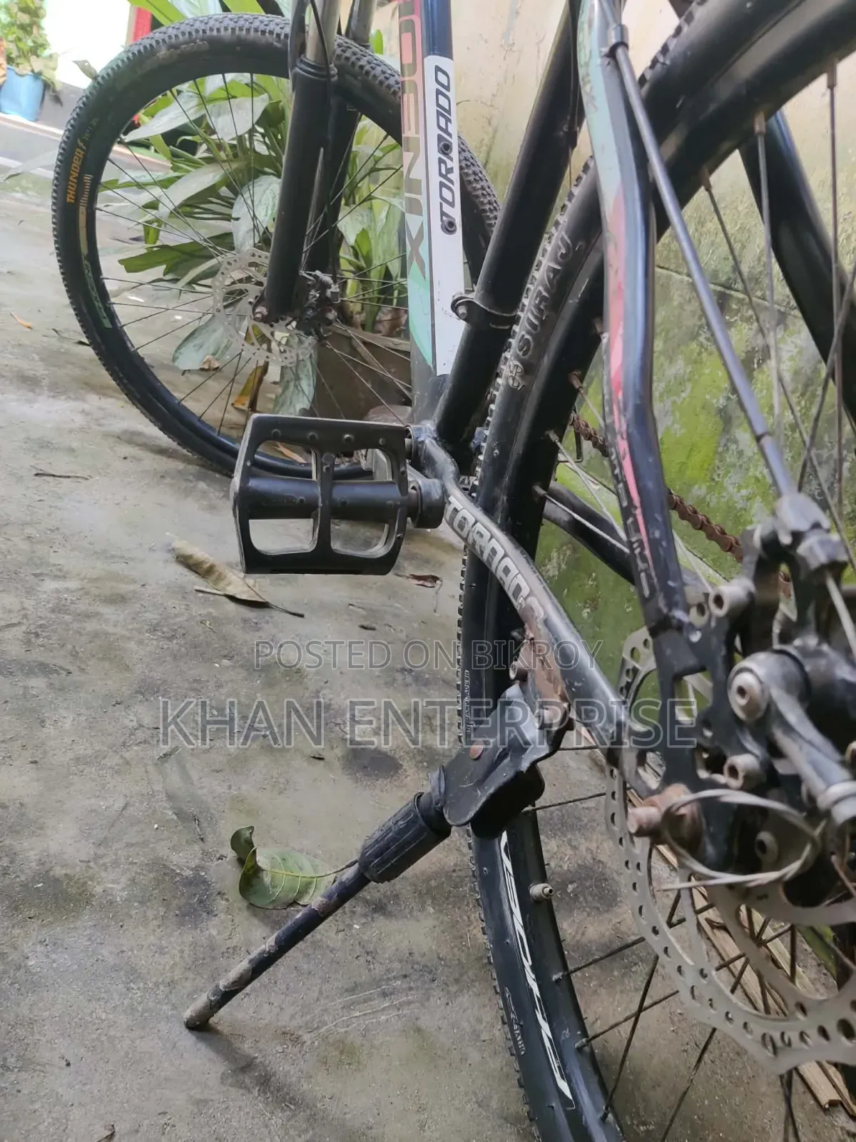 ফিনিক্স সাইকেল