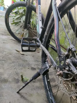ফিনিক্স সাইকেল