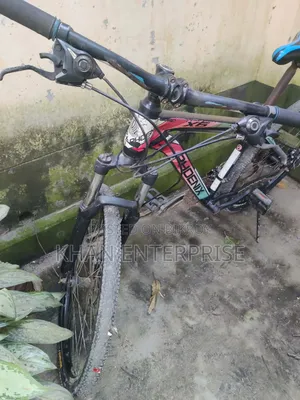 ফিনিক্স সাইকেল