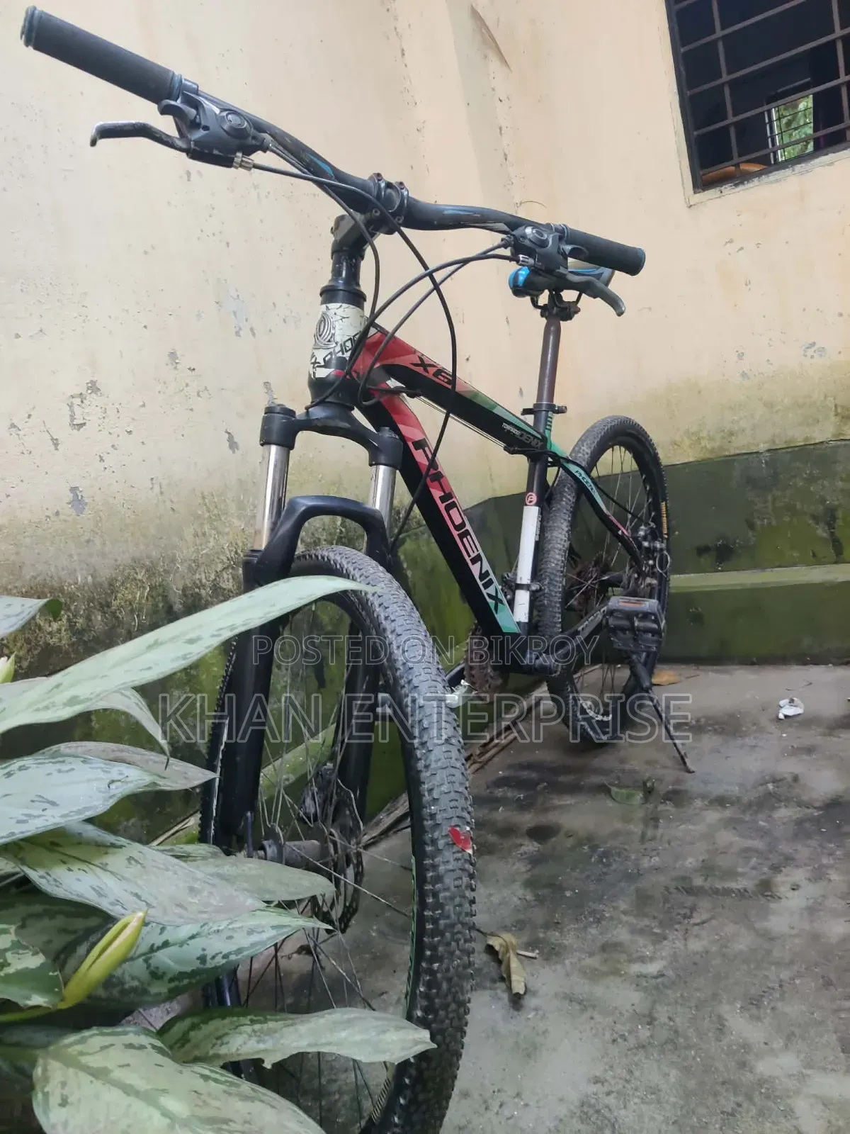 ফিনিক্স সাইকেল