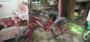 ফিনিক্স বাইসাইকেল স্পোর্টস ৪.০