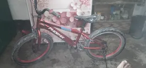 ফিনিক্স বাইসাইকেল স্পোর্টস ৪.০