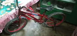 ফিনিক্স বাইসাইকেল স্পোর্টস ৪.০