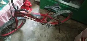 ফিনিক্স বাইসাইকেল স্পোর্টস ৪.০