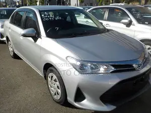 Toyota Axio 2021 Silver