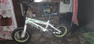 Kid Bicycle