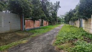 Corner 3 katha plot in Sector 15.