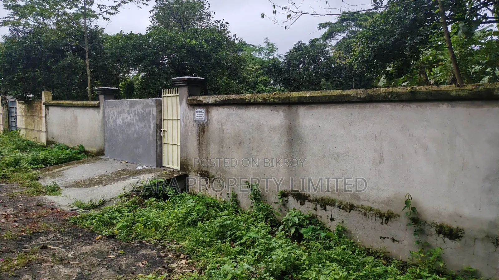 3 Katha Plot facing South next to 300 Feet in Sector 9