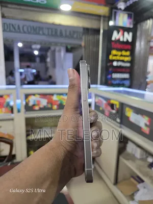 Apple iPhone 15 Pro Max 256 GB Silver