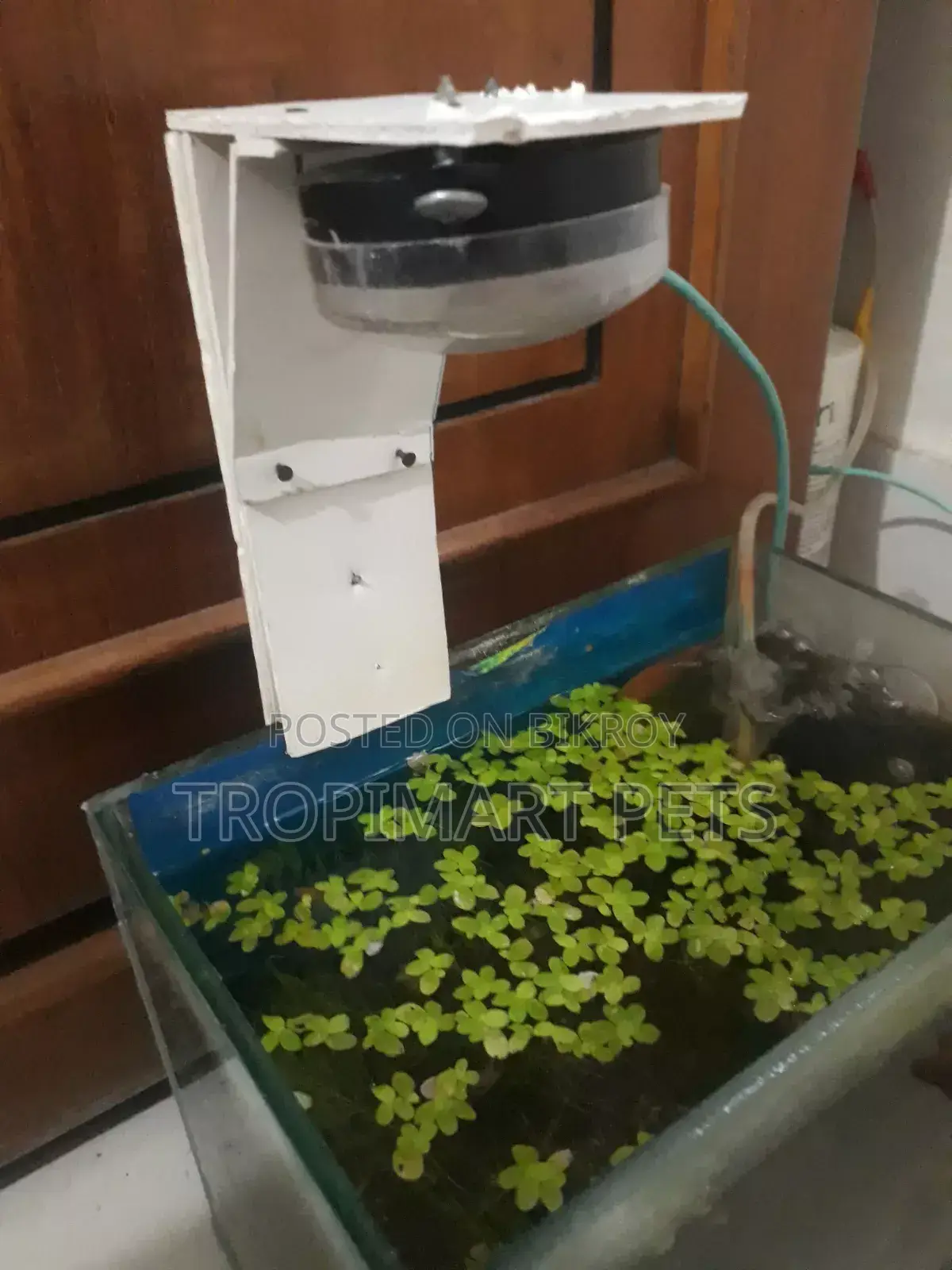 (New) Make Your Custom Light for Aquarium Home Delivery Available