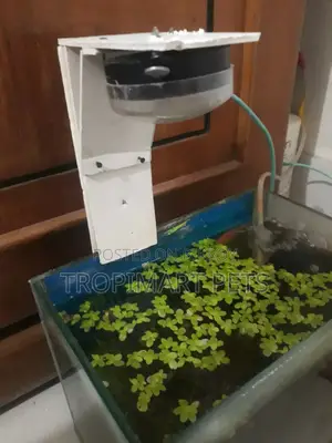 (New) Make Your Custom Light for Aquarium Home Delivary Available